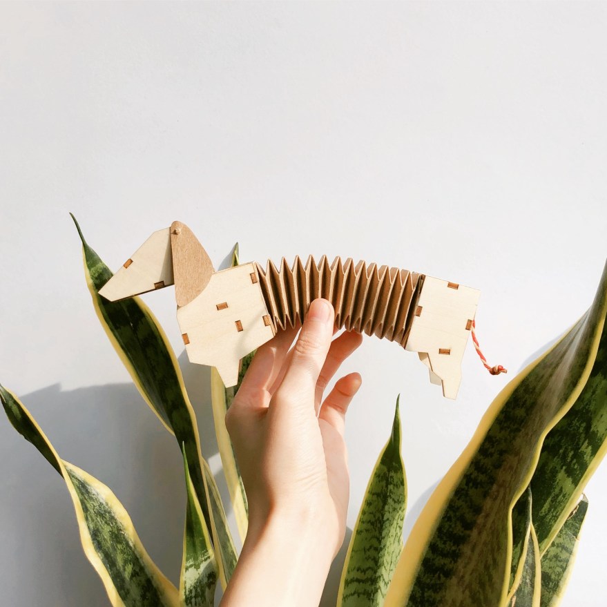 Photo Feb 07, 3 45 56 PM